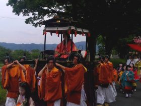 Aoi Matsuri
